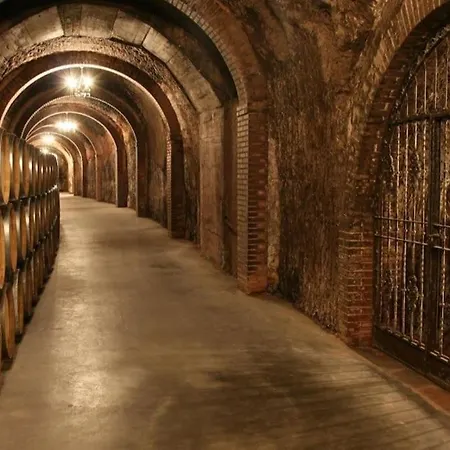 Centrico La Buganvilla Lejlighed *