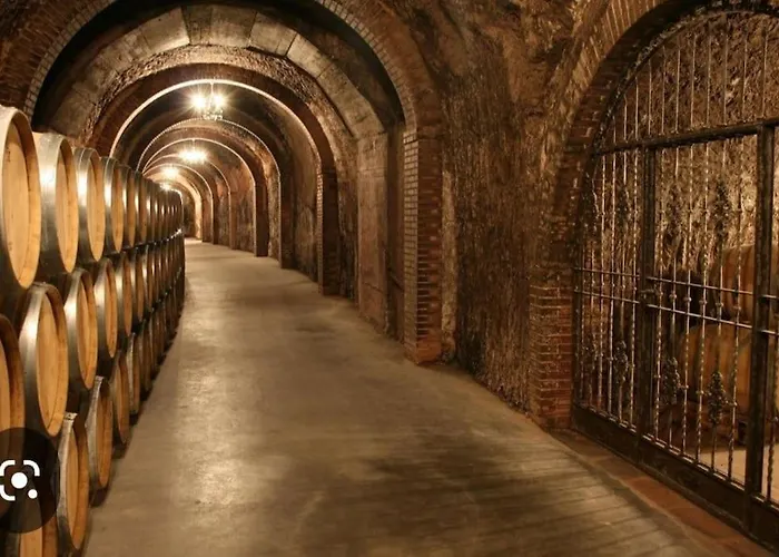 Centrico La Buganvilla Апартаменты *